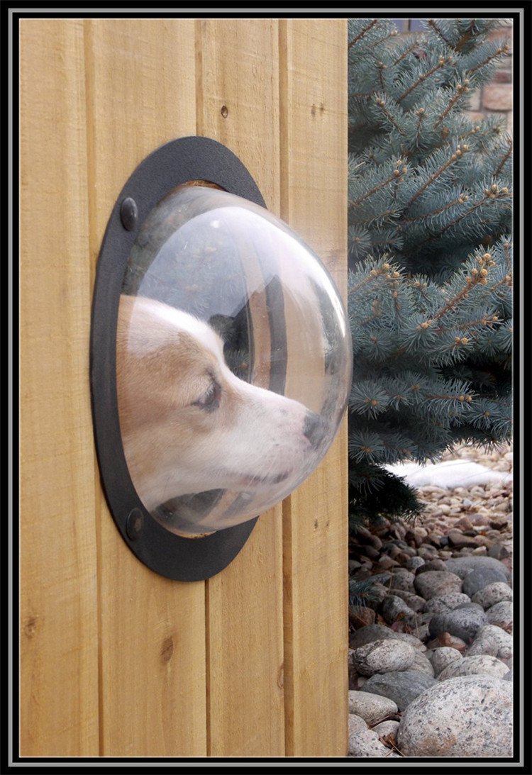 Pet Fence Bubble Window