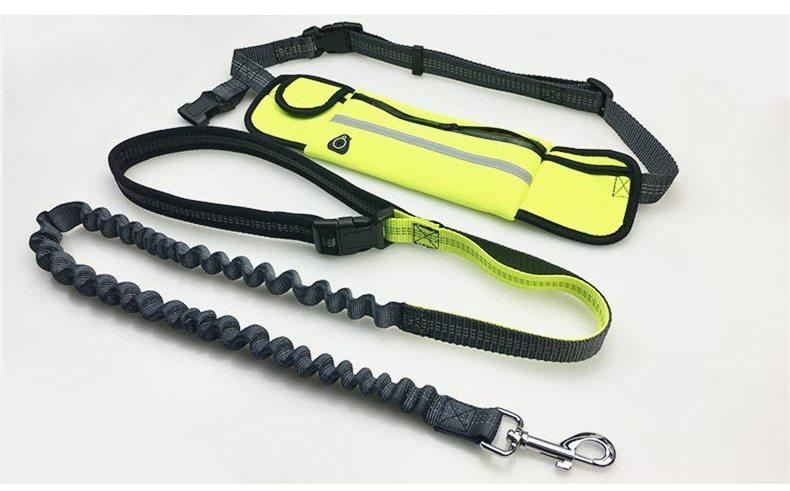 Handsfree Bungee Dog Leash