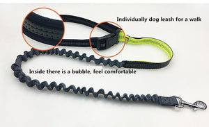 Handsfree Bungee Dog Leash