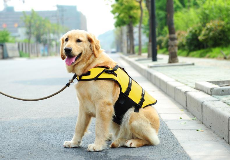 Dog Oxford Breathable Mesh Life Jacket