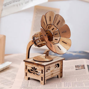 Wooden DIY Phonograph Music Box