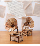 Wooden DIY Phonograph Music Box