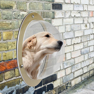 Pet Fence Bubble Window